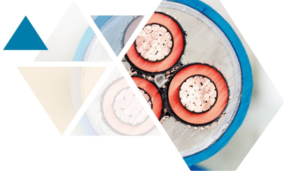19. Jahrestagung Elektrosicherheit 2025 am 26.11. – 27.11.25 in Niedernhausen und virtuell